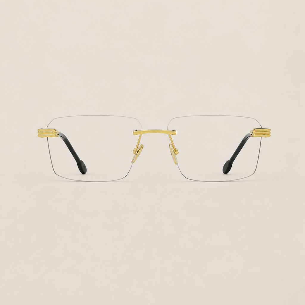 Lunettes FRED Force 10